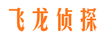 临翔市调查公司